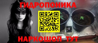 круглые Лесосибирск