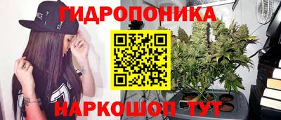 круглые Лесосибирск