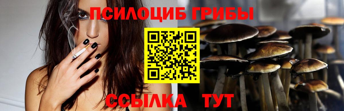 Псилоцибиновые грибы GOLDEN TEACHER Югорск