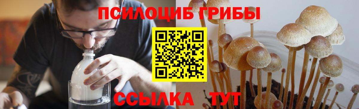 Галлюциногенные грибы Cubensis  Вход с VPN  Югорск  Галлюциногенные грибы ЛСД 